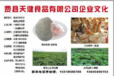 天降美食
